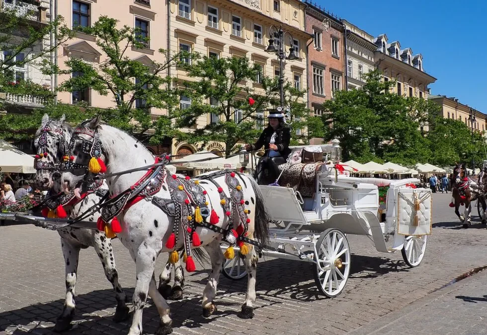 INTERESTING THINGS TO DO IN KRAKOW FOR ADULTS | ATTRACTIONS KRAKOW